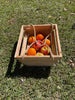 GARDEN BASKET/CRATE, ROPE HANDLES,  LOCAL PICKUP ONLY IN SUMMERVILLE, SC
